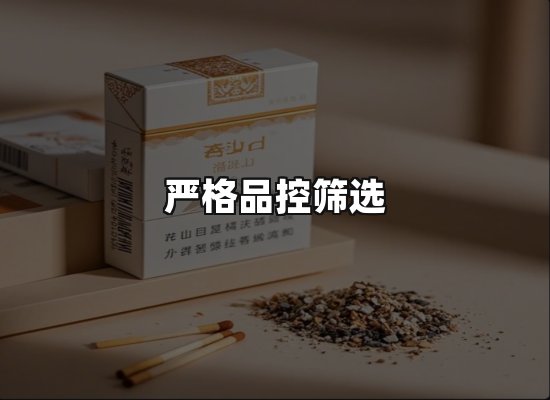 专业优势